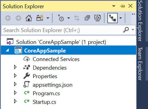 Asp.net Core Project Default Files